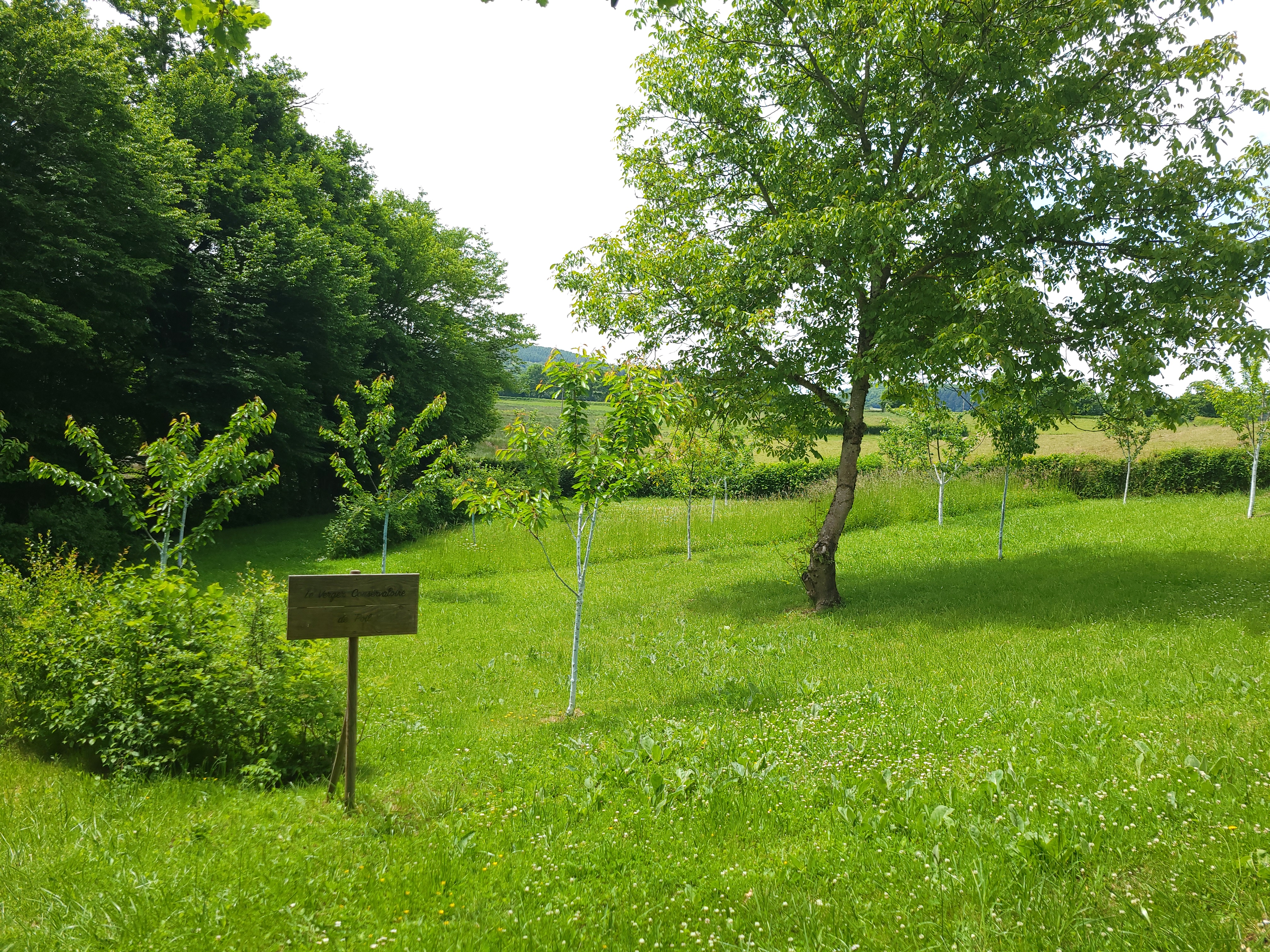 Bannière Commune de Poil